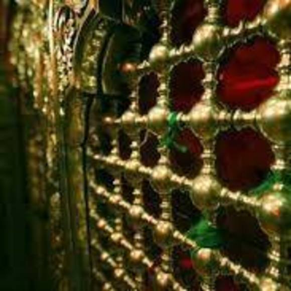 Meet your Posher, Sabika - Picture 1 of 1